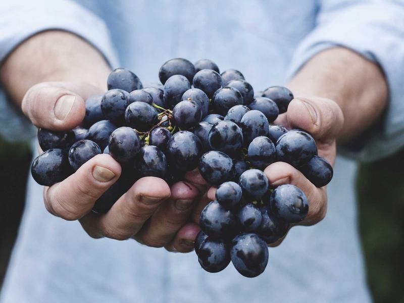 系统缓存垃圾清理<br>冗余缓存占用内存深度清理